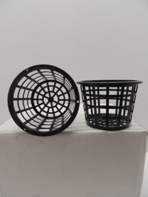 100 x 75 Port Stanhopea Basket Pot