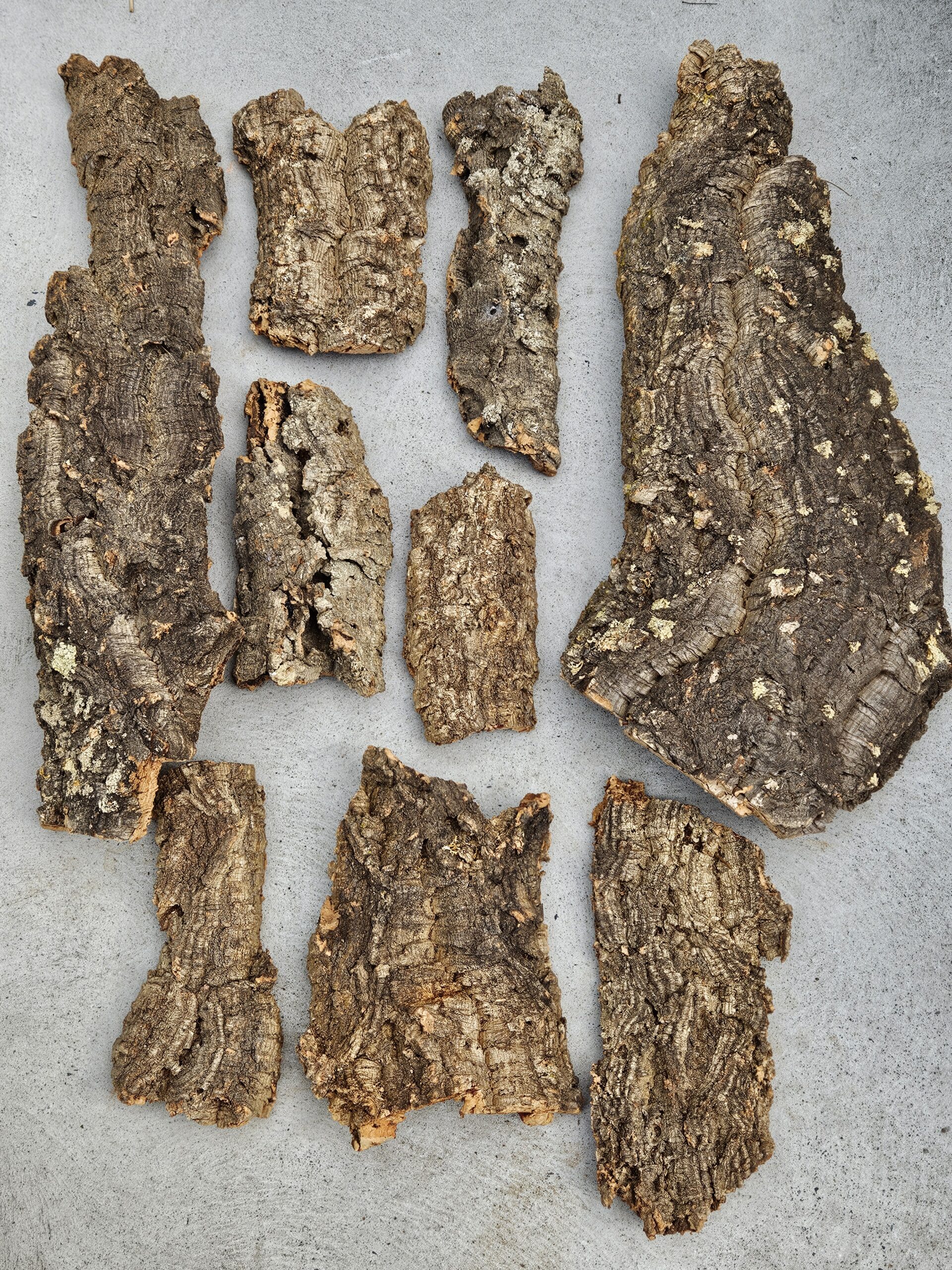 Portugal Cork - Random Sizes per Kg