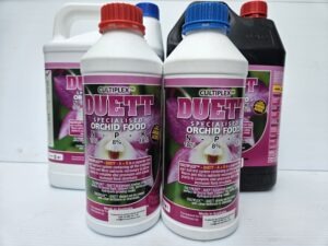 Cultiplex Duett Orchid Food A+B